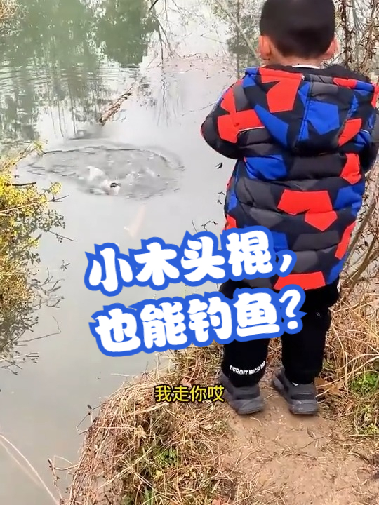 小木头棍，也能钓鱼？