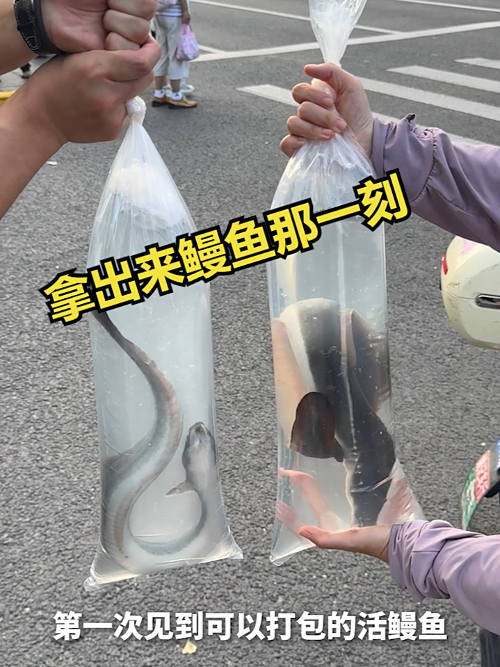 当我拿出来鳗鱼那一刻