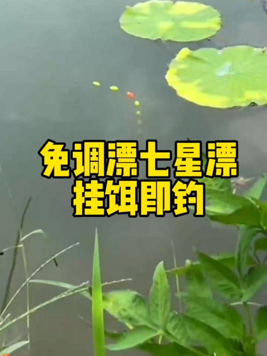 无需调漂直接挂饵即钓 七星漂传统钓 七星漂线组 钓鱼调漂技巧