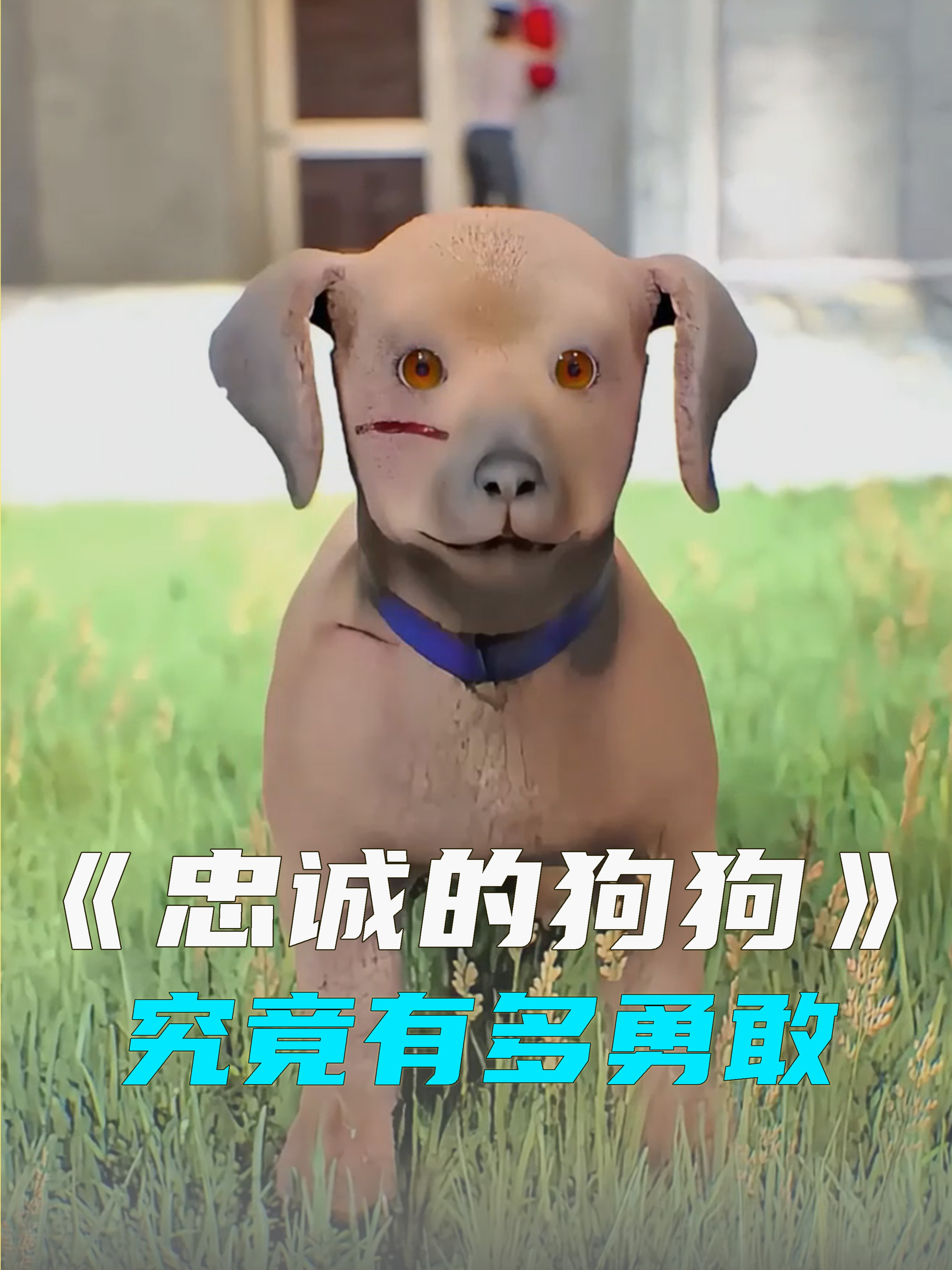 狗狗究竟有多忠诚?