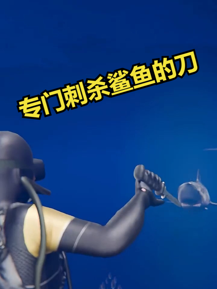 专门刺杀鲨鱼的刀
