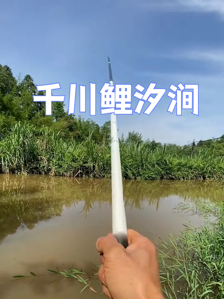 钓鱼新手老手都适合的宝藏竿来了!千川鲤汐涧台钓竿,超轻设计!