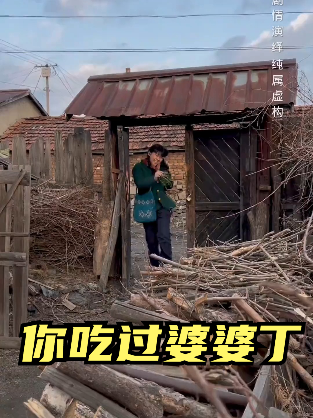 你吃过婆婆丁这种野菜嘛 包饺子可好吃了 
