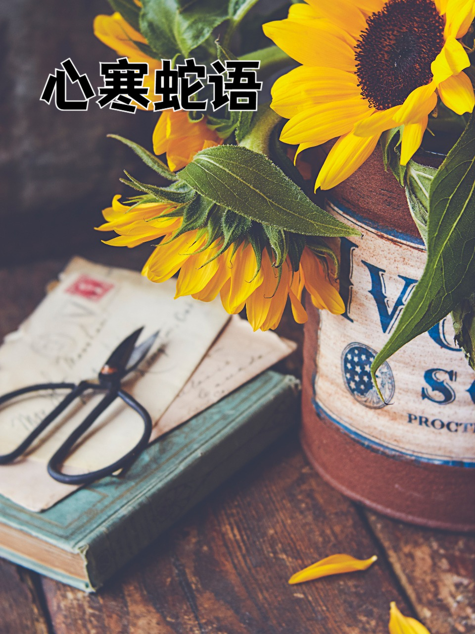 心寒蛇语