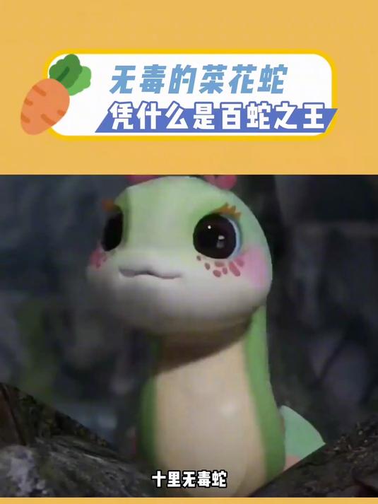 无毒的菜花蛇，为什么被称作百蛇之王？