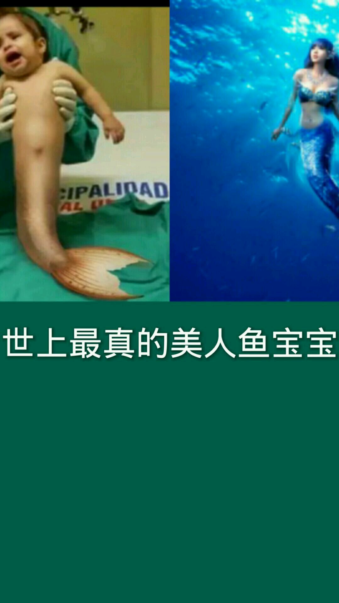 世界上真实存在的美人鱼宝宝
