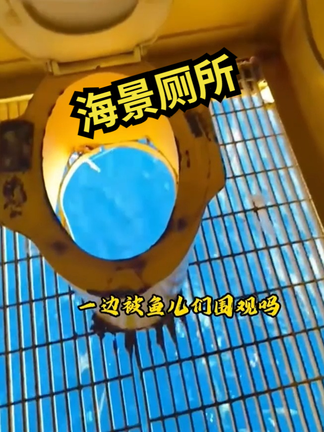 你试过一边上厕所,一边被鱼儿们围观吗!