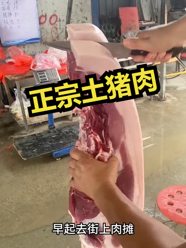 这种土猪肉你见过吗