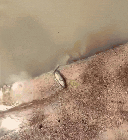 帣ͼƷϵ ̨Ůϰ嶼ôÿô