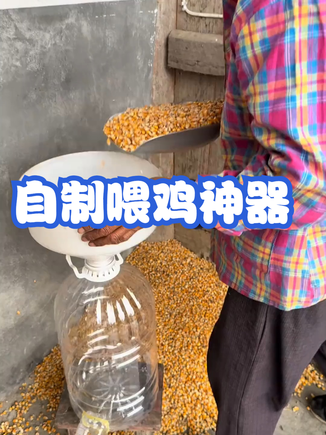 自制喂鸡神器