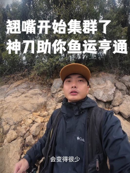 翘嘴开始集群了，意味的旺季到了，神刀路亚饵助你鱼运亨通