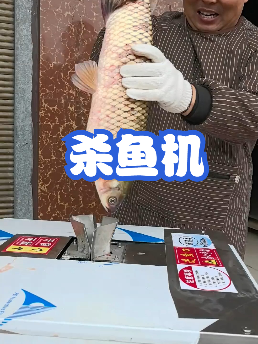 杀鱼机