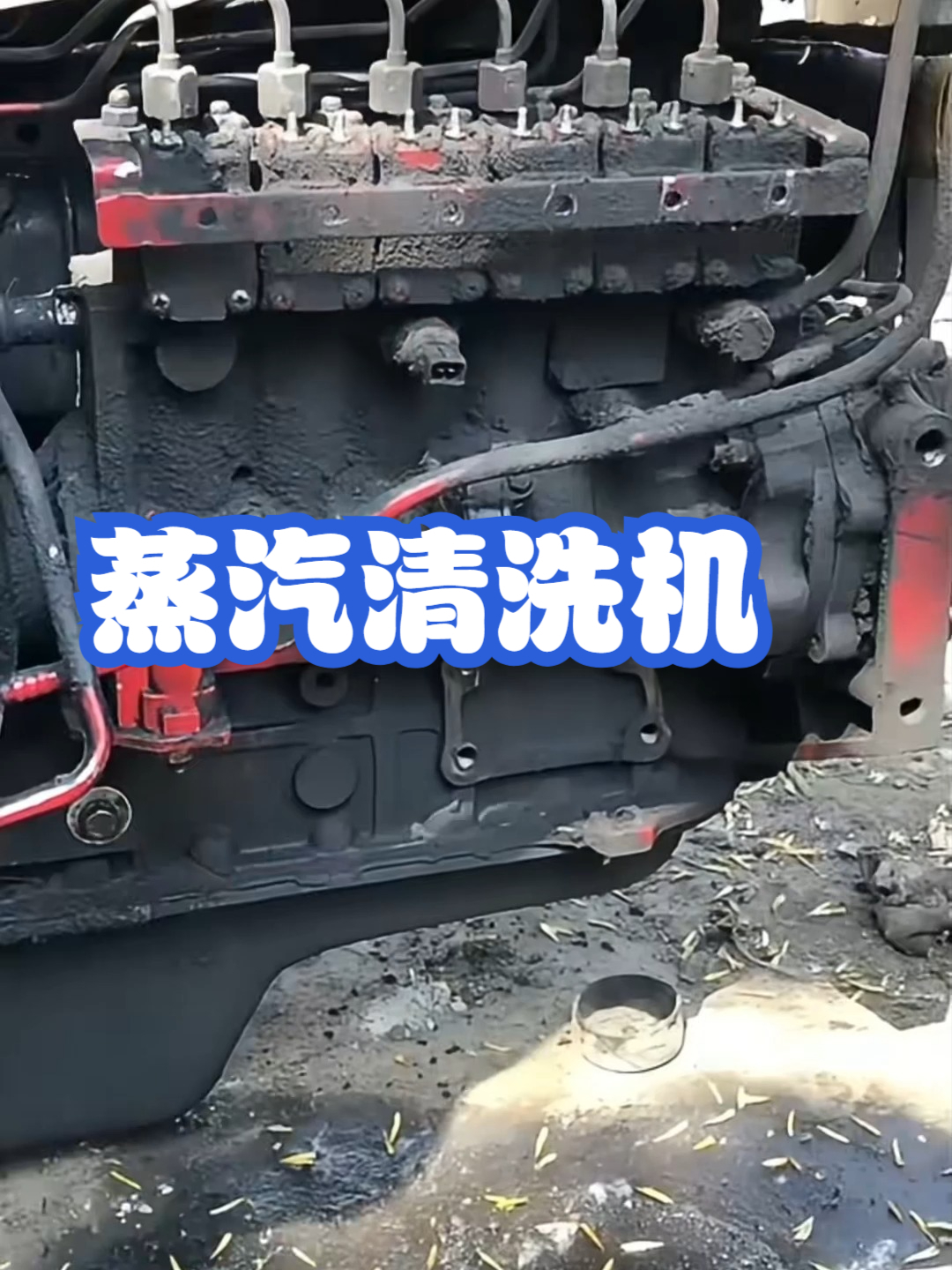 蒸汽清洗机