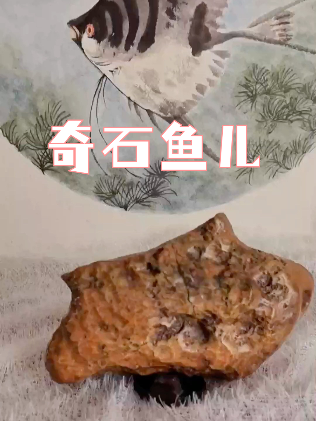 奇石——鱼儿