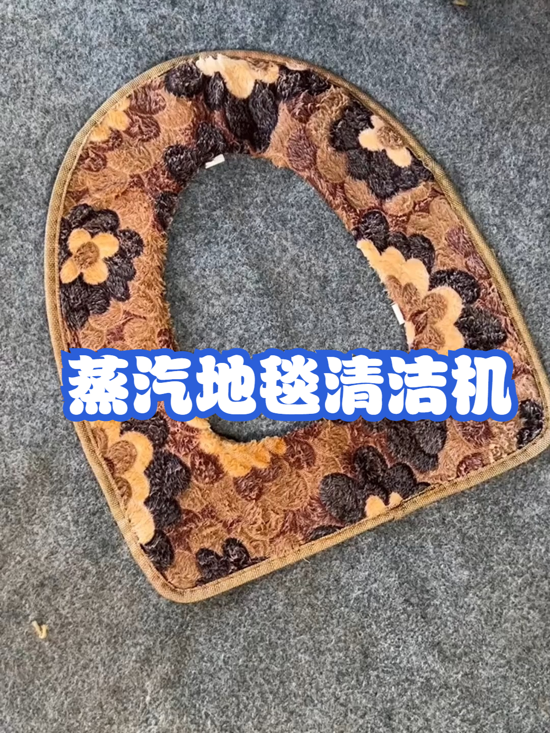 蒸汽地毯清洁机
