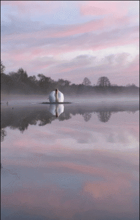 周五福利囧图云飞系列 体育老师也过不了美人关！