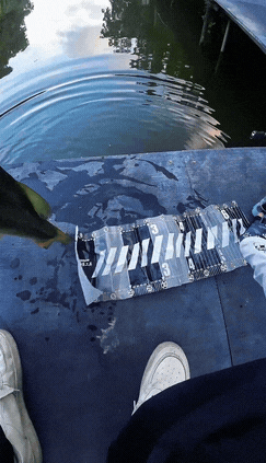 周五福利囧图云飞系列 体育老师也过不了美人关！