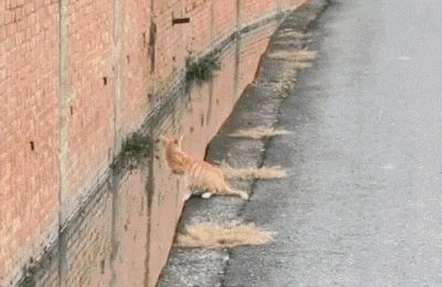 3DM轻松一刻第1581期 体育老师也过不了美人关的