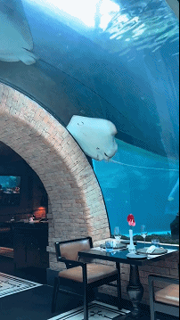 周一内涵囧图云飞系列 让你上强度没让你上尺度！