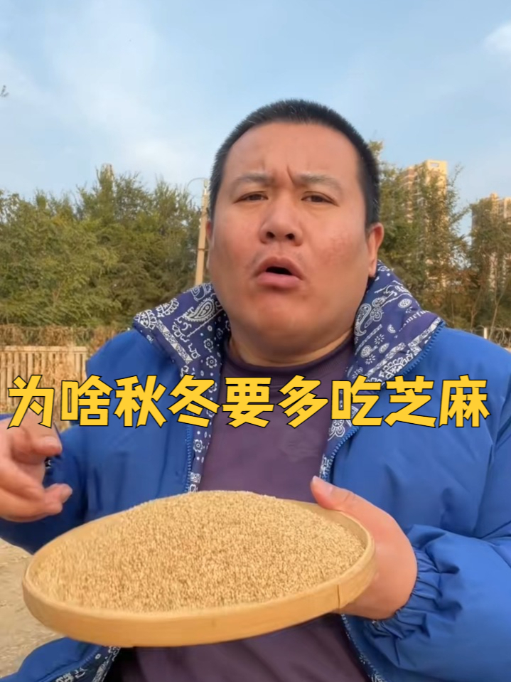 粗粮 熟白芝麻 芝麻 农产品 干净炒熟白芝麻