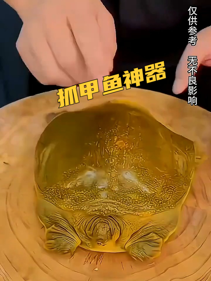 抓甲鱼神器