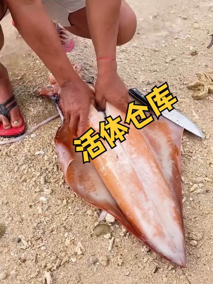 活体仓库