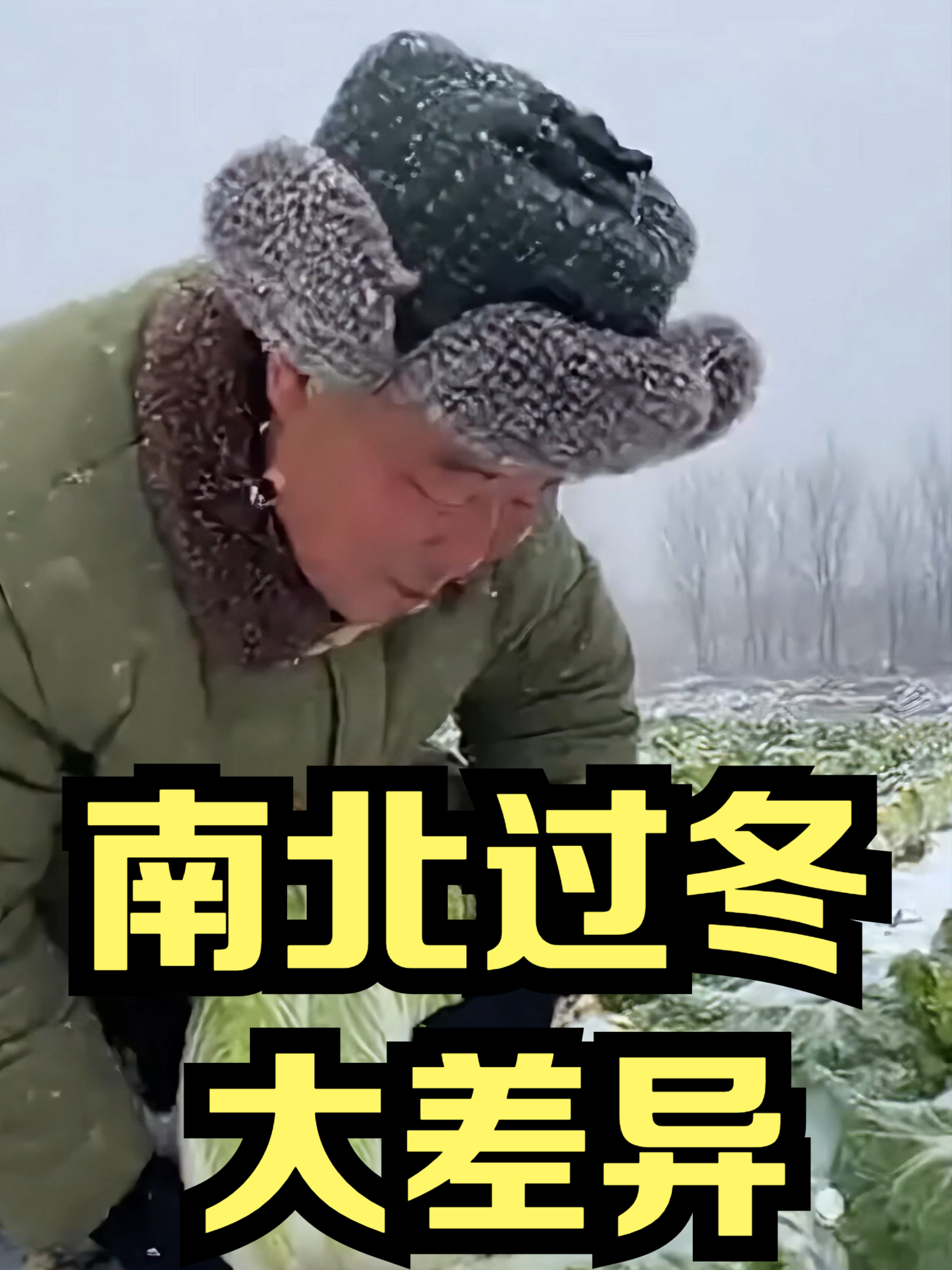 小雪一到，北方腌菜南方晒鱼干！南北过冬差异太真实了
