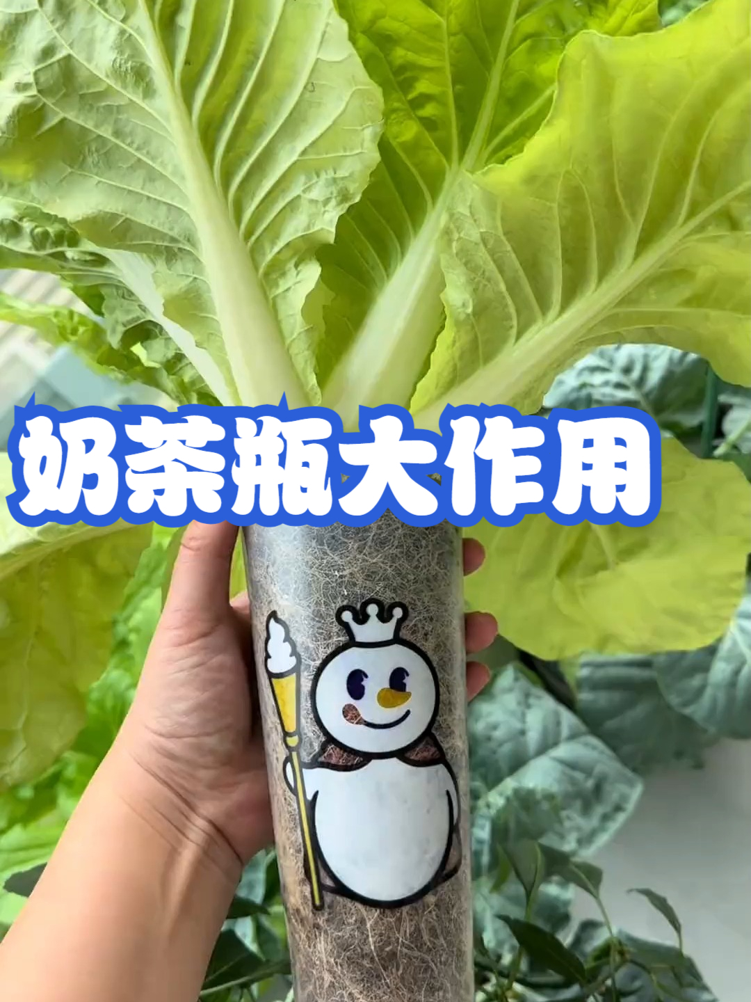 奶茶瓶大作用