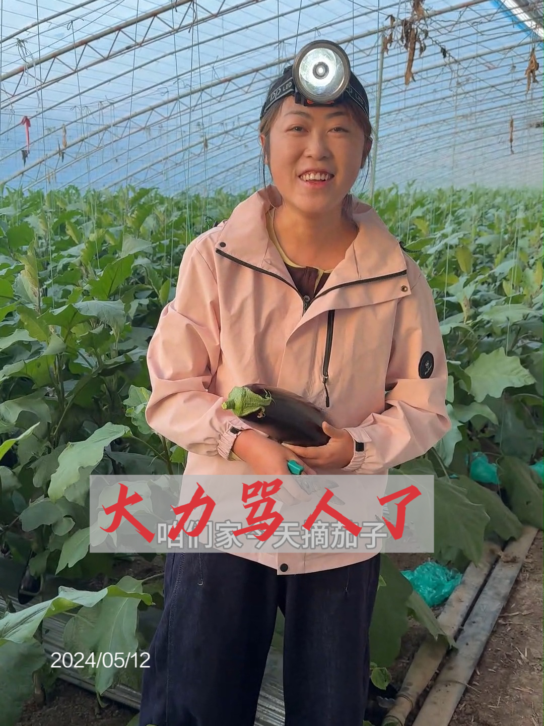 这安徽媳妇真不像话,凌晨5点偷偷跑出去挣钱,原因让人心疼!