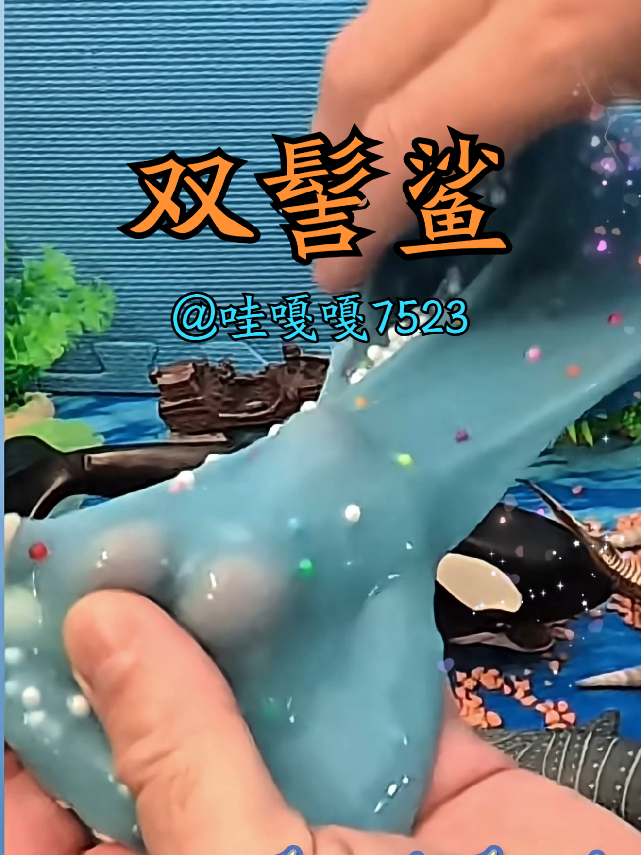 第3集 I 双髻鲨 是脊索动物门软骨鱼纲真鲨目双髻鲨科鱼类的统称