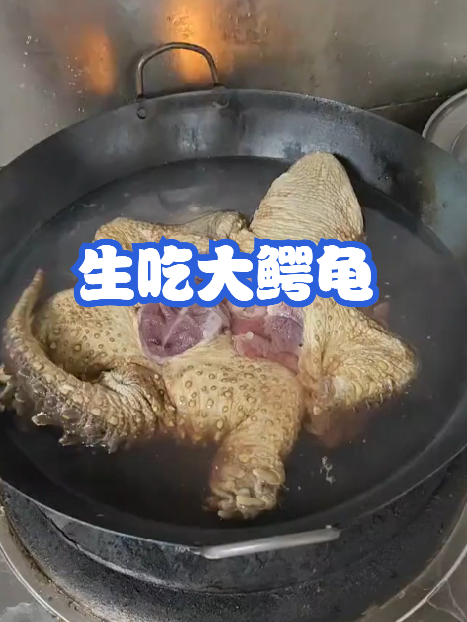 生吃大鳄龟