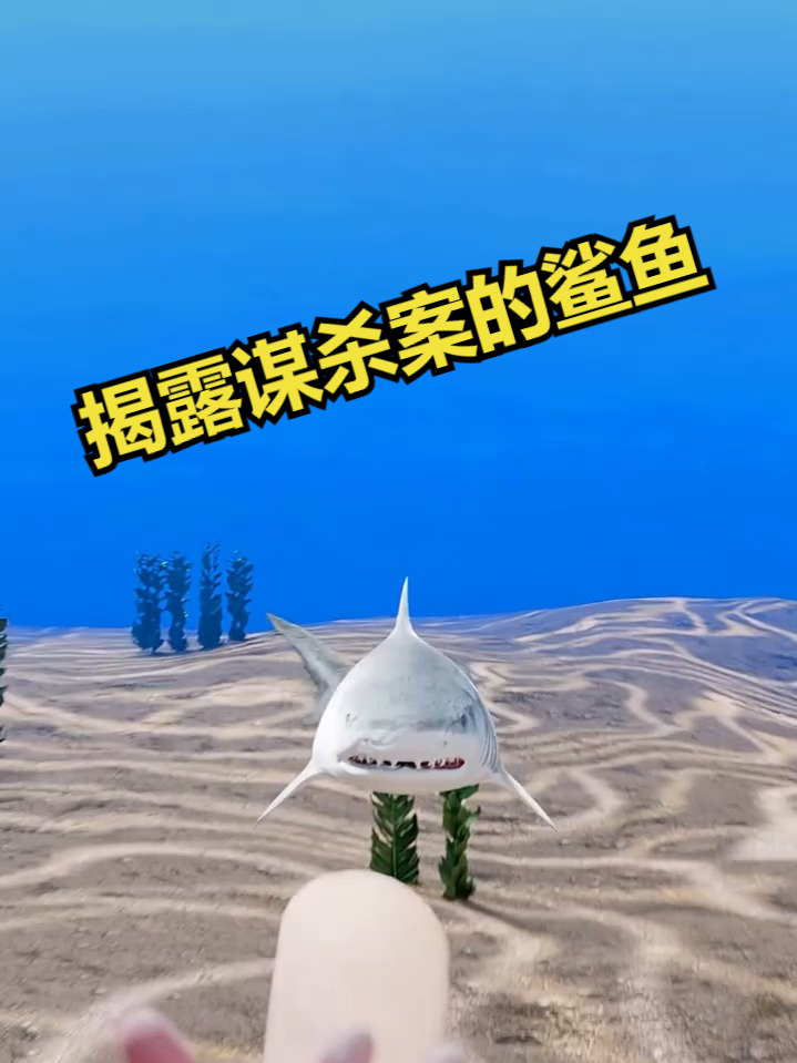 揭露谋杀案的鲨鱼