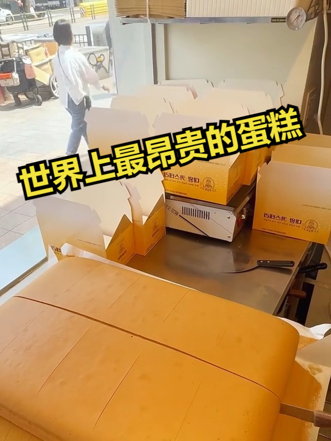 这是世界上最昂贵的蛋糕，名字叫做卡斯特拉，首富都吃不到它