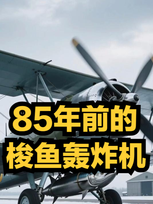 85年前 费尔雷“梭鱼”俯冲轰炸机首次试飞 性能不佳却别无选择