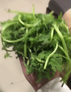 ��һ�ں���ͼ�Ʒ�ϵ�� Ů���첻��������Ҳ��������