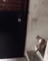 ��һ�ں���ͼ�Ʒ�ϵ�� Ů���첻��������Ҳ��������