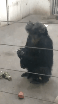 ��һ�ں���ͼ�Ʒ�ϵ�� Ů���첻��������Ҳ��������