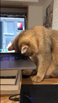 ��һ�ں���ͼ�Ʒ�ϵ�� Ů���첻��������Ҳ��������