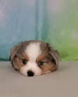 ��һ�ں���ͼ�Ʒ�ϵ�� Ů���첻��������Ҳ��������