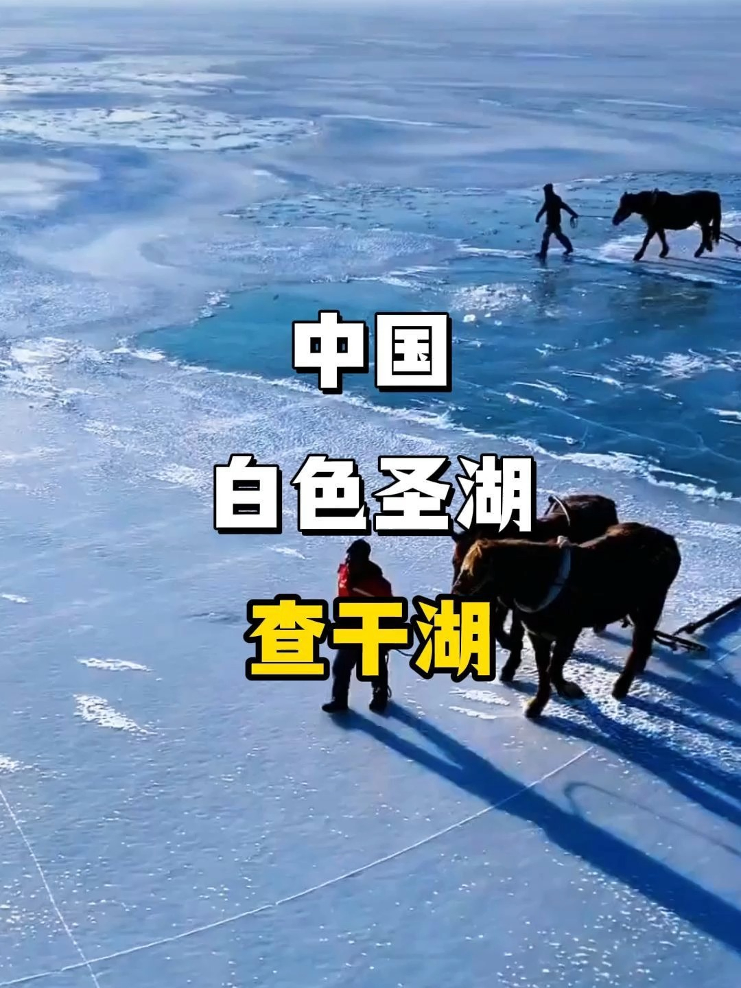 查干湖冰湖奇观,零下冰封捕鱼,数十斤胖头鱼跃出冰面