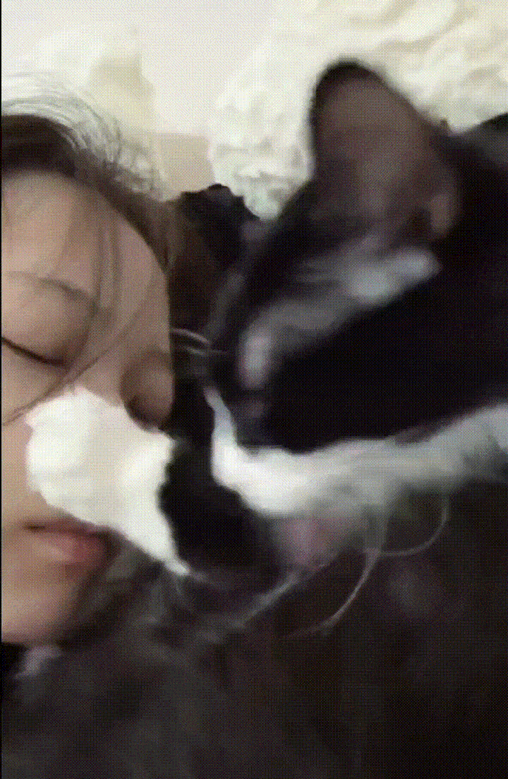 ��һ�ں���ͼ�Ʒ�ϵ�� Ů���첻��������Ҳ��������