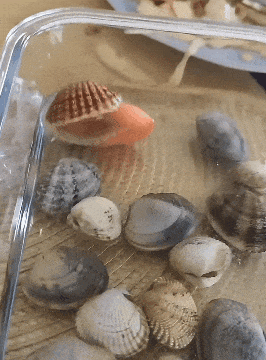 ��һ�ں���ͼ�Ʒ�ϵ�� Ů���첻��������Ҳ��������