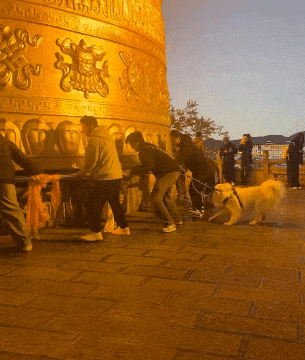 ��һ�ں���ͼ�Ʒ�ϵ�� Ů���첻��������Ҳ��������