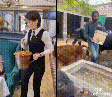 ��һ�ں���ͼ�Ʒ�ϵ�� Ů���첻��������Ҳ��������