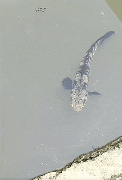 ��һ�ں���ͼ�Ʒ�ϵ�� Ů���첻��������Ҳ��������