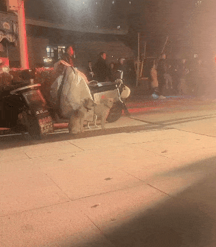 ��һ�ں���ͼ�Ʒ�ϵ�� Ů���첻��������Ҳ��������