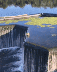 ��һ�ں���ͼ�Ʒ�ϵ�� Ů���첻��������Ҳ��������