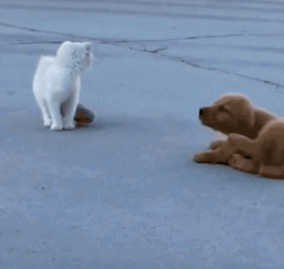 ��һ�ں���ͼ�Ʒ�ϵ�� Ů���첻��������Ҳ��������