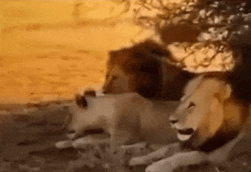 ��һ�ں���ͼ�Ʒ�ϵ�� Ů���첻��������Ҳ��������