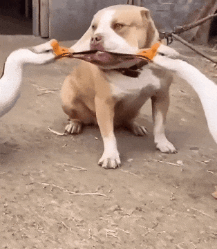 ��һ�ں���ͼ�Ʒ�ϵ�� Ů���첻��������Ҳ��������